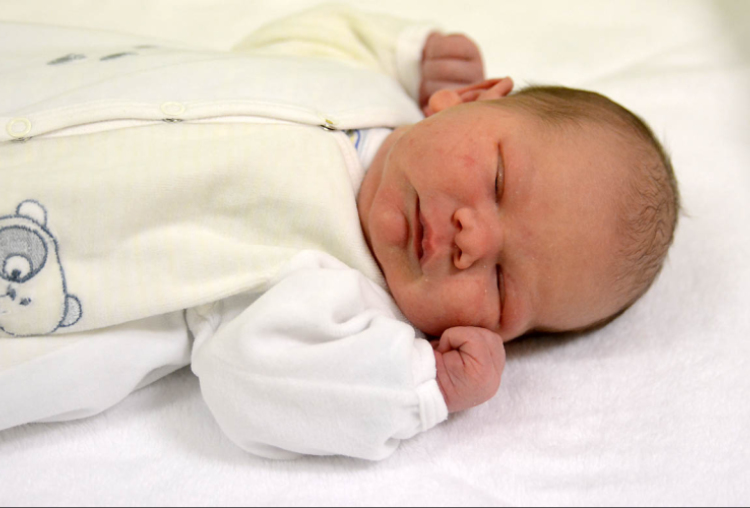 Füzi Bálint, Kapuvár