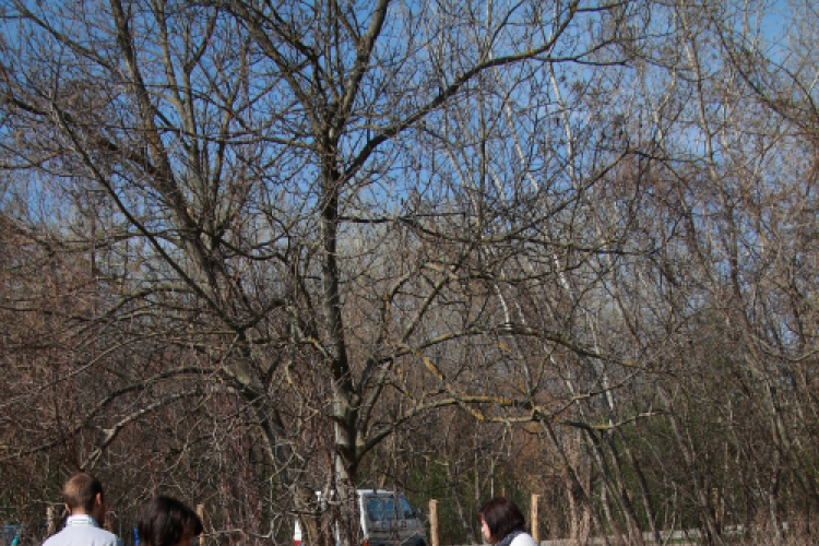 Az ország legnagyobb napóráját avatták Dunaszigeten