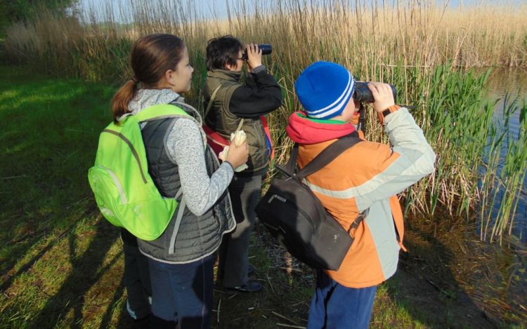 Madárbarátság napja Lipóton