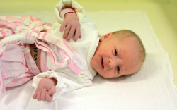 Ékes Veronika, Levél