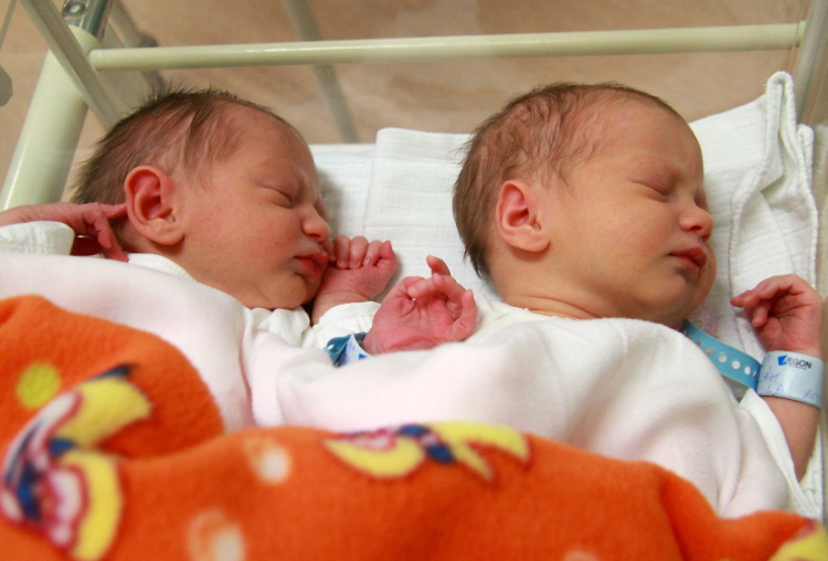 Oláh Vivien, Oláh Lilla, Bábolna