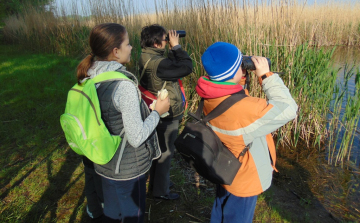 Madárbarátság napja Lipóton