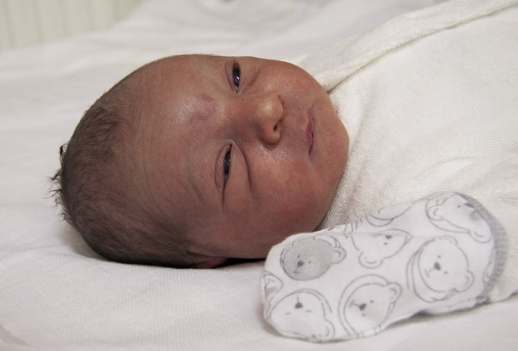 Bálint Ábel, Jánosomorja