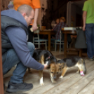 1. Győri Puha Praclik találkozó a Kotyogós Cafféban 