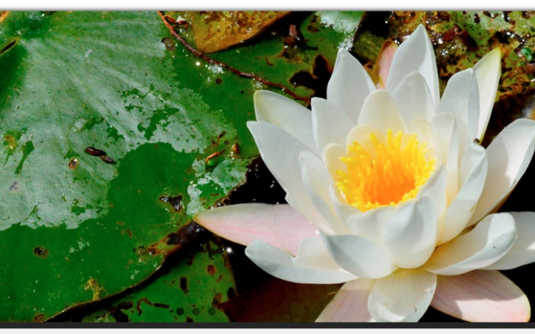 Üdvözlet Kisbodakról