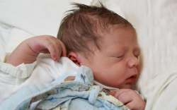 Pöthe Péter, Mosonmagyaróvár