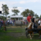 10.  Sajtos-Réti fogathajtó verseny 