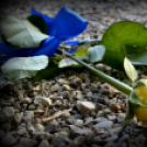 10. Jubileumi Szent Jakab zarándoklat Lébényben 