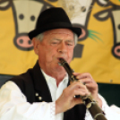 Szigetközi gulyahajtás 2018