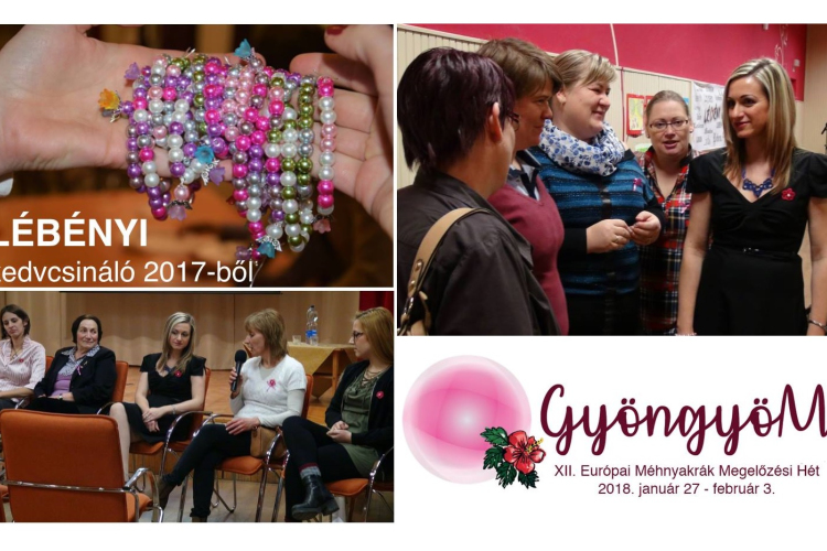 Felhívás! Légy a Településed Mályvavirág Nagykövete