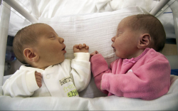 Berkó Máté és Berkó Anna, Mosonmagyaróvár