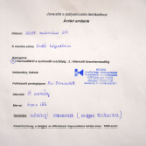 Ártéri erdeink rajzpályázat – eredményhirdetés és kiállítás sok meglepetéssel