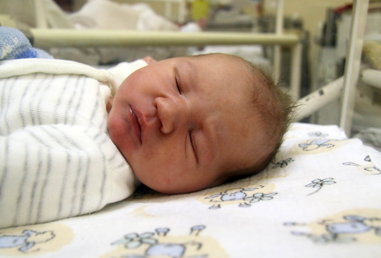 Jankovics Krisztofer, Mosonmagyaróvár