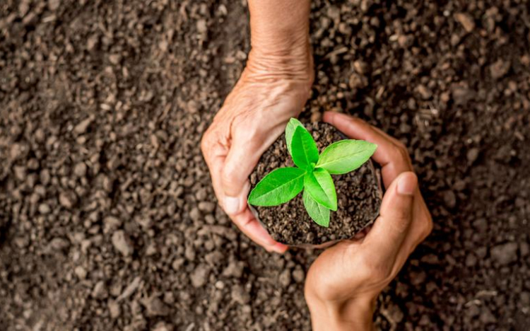 Faültetés, iskolabővítés Darnózselin 