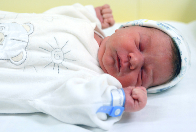 Bara Nándor Máté, Darnózseli