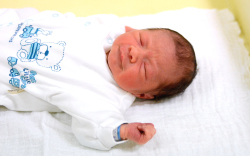 Szaiff Richárd, Osli