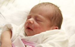 Ozsváth Réka, Mosonszolnok