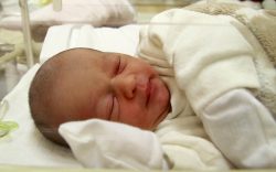 Babos Benedek, Feketeerdő