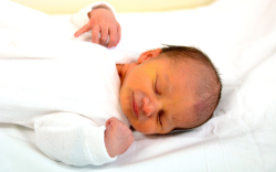 Lang Krisztián, Kisbodak