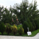 Szigetköz Lelke Pálinkaház - Családi program és a IV. bérfőzetői pálinkaverseny eredményhirdetése