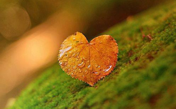 Szigetköz Natúrpark – Összhang a tájban