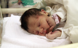 Nagy Daniela, Halászi