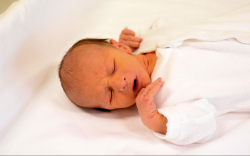 Lang Richárd, Kisbodak