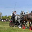 10.  Sajtos-Réti fogathajtó verseny 