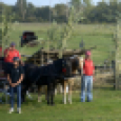 10.  Sajtos-Réti fogathajtó verseny 