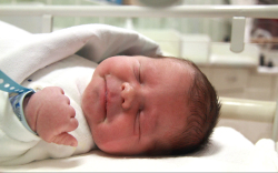 Németh András, Mosonmagyaróvár