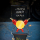 IV. Lébényi Ízőrző Nap