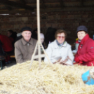 I. Szigetközi Vásár