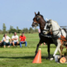 10.  Sajtos-Réti fogathajtó verseny 