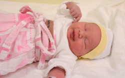 Stergerits Szófia, Mosonszentmiklós