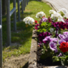 Így szeretünk, Máriakálnok