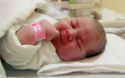 Vécsei Csenge Hanna, Máriakálnok