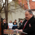 Megyei ünnepi megemlékezés és szoboravatás Lébényben