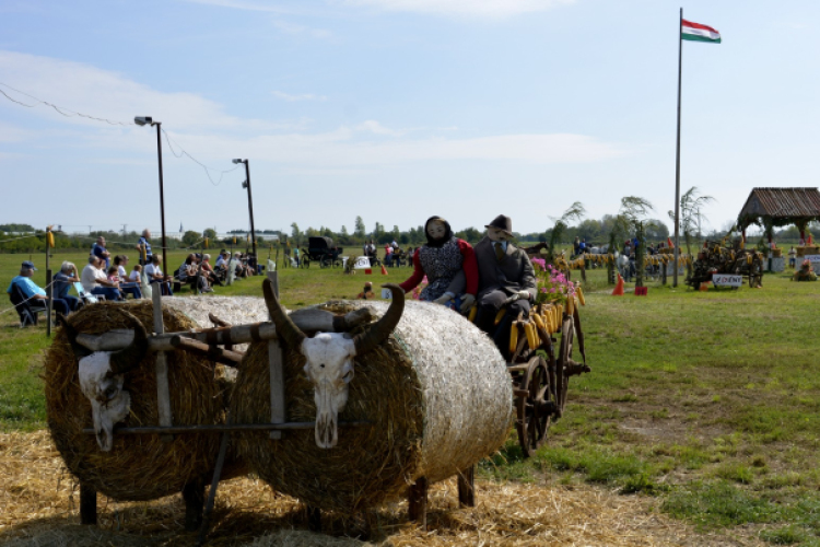 11. Sajtos-Réti fogathajtó verseny 