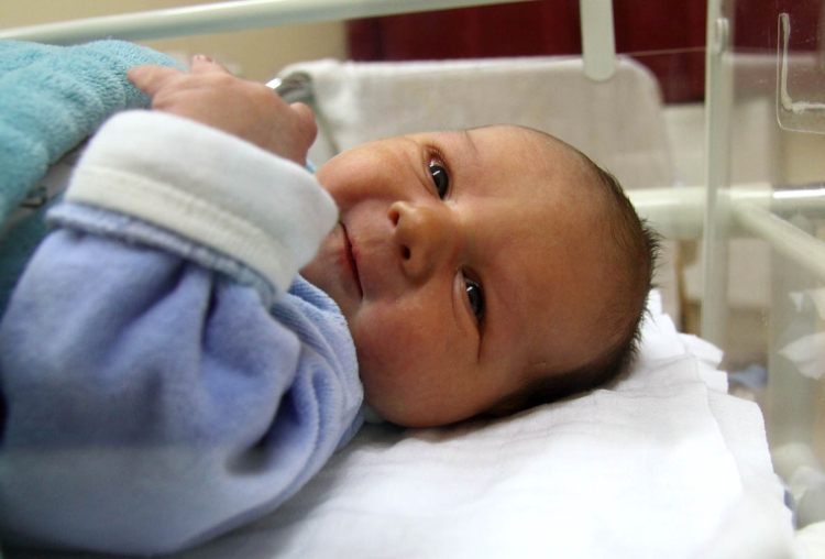 Szalay Dávid Zoltán, Mosonmagyaróvár