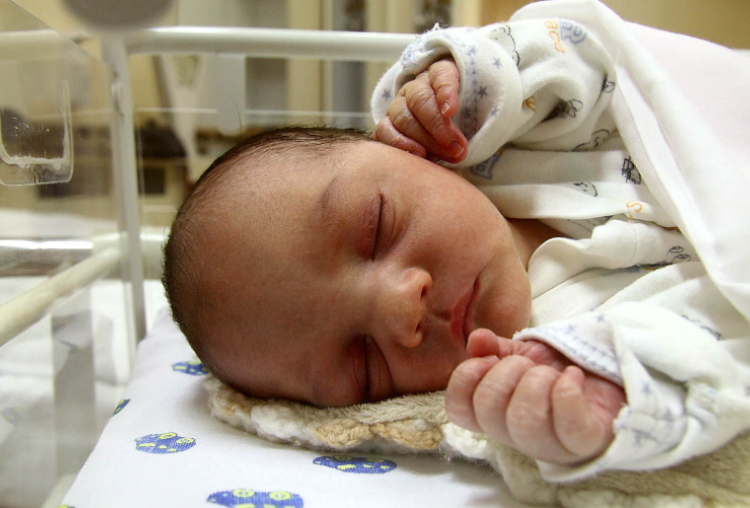 Balogh Dilen Róbert, Mosonmagyaróvár