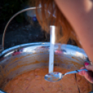 IV. Lébényi Ízőrző Nap