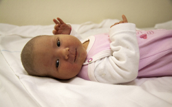 Vida Zsanett, Lébény