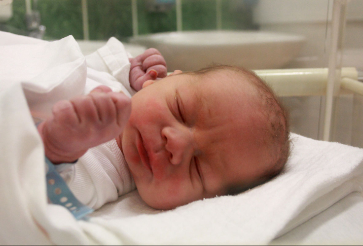 Kráz Benjamin, Mecsér