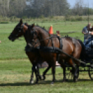10.  Sajtos-Réti fogathajtó verseny 