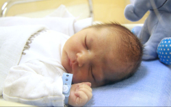 Jova Ákos István, Károlyháza