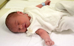 Takács Máté, Csorna