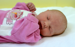 Gulyás Zselyke Viktória, Mosonmagyaróvár