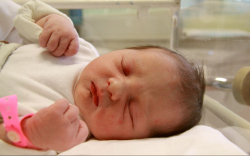 Simon Sára, Lébény