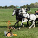 10.  Sajtos-Réti fogathajtó verseny 