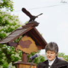 Nemzeti összetartozás napja Darnózselin